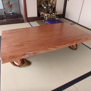 fi021-300x300.jpg?v=1621572401