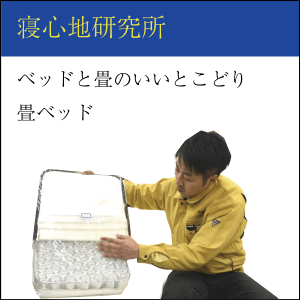 寝心地研究所（畳とベッドのいいところどり、畳ベッド）