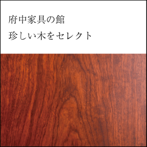 珍しい木をセレクト