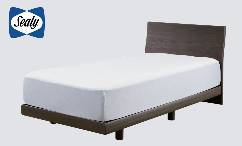 【シーリー】<br> 【シングル】<br>シドレー<br>〔bed248〕